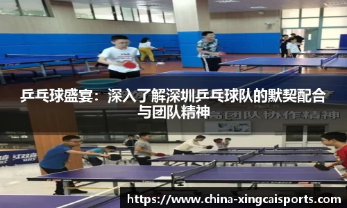 乒乓球盛宴：深入了解深圳乒乓球队的默契配合与团队精神